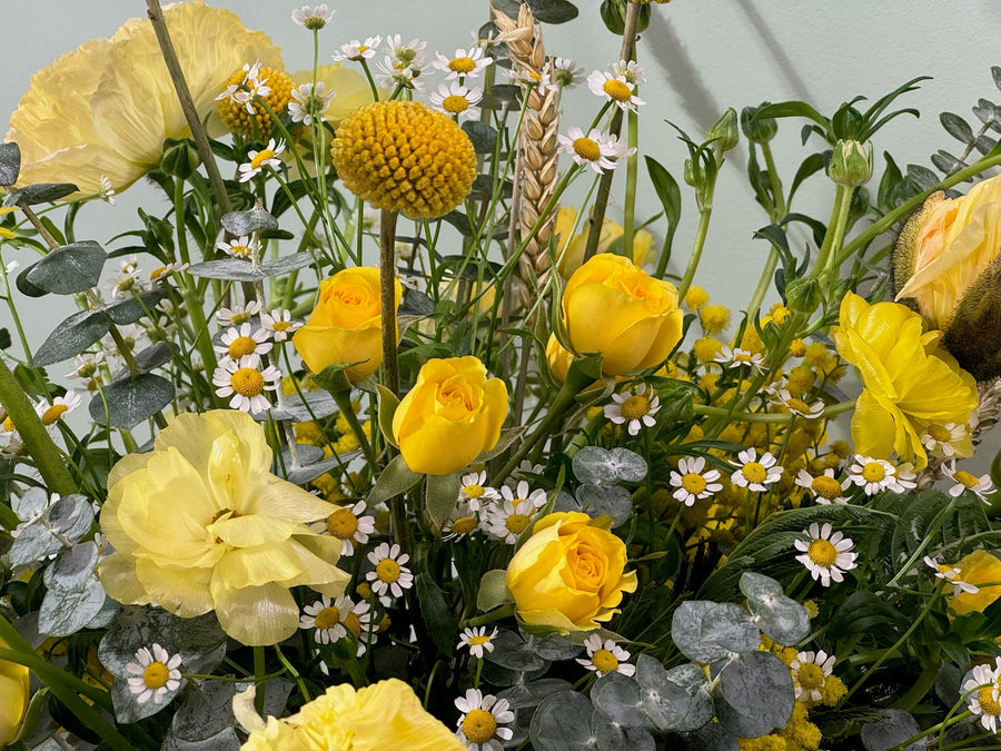 The Botanical Collection