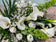 Sympathy Flowers
