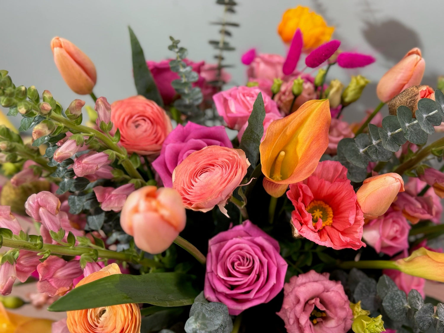 Spring Flowers