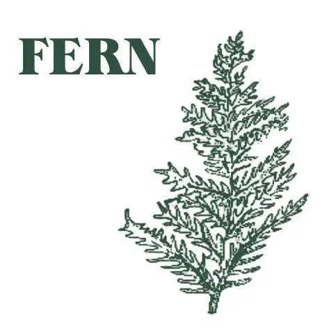 Green Fern Candle Blume Flowers.