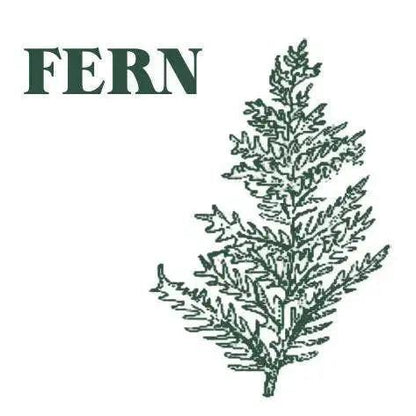 Green Fern Candle Blume Flowers.