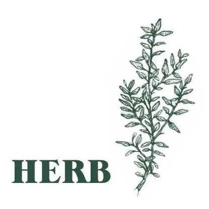 Green Herb Candle Blume Flowers.