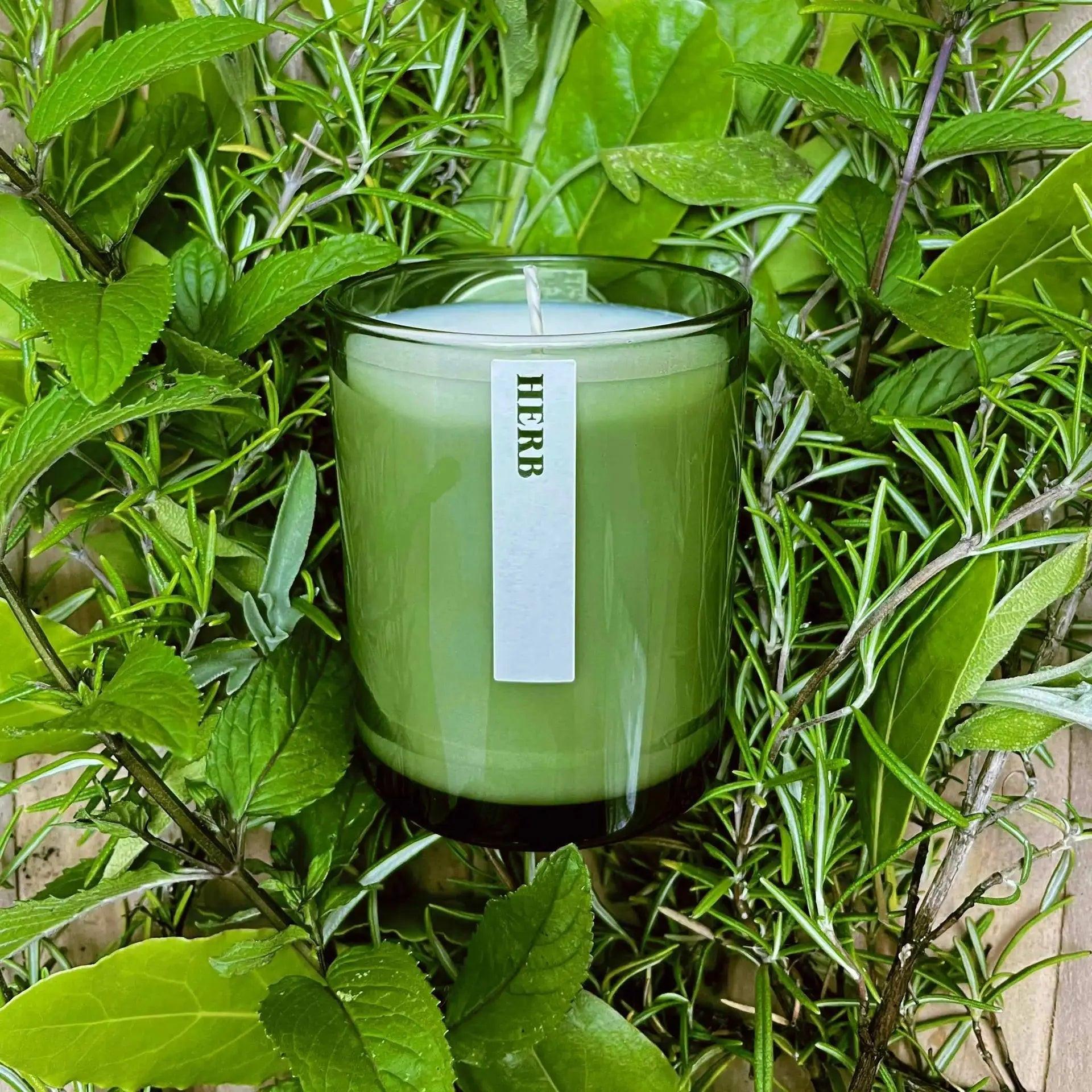 Green Herb Candle Blume Flowers.