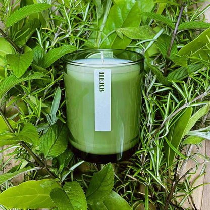 Green Herb Candle Blume Flowers.