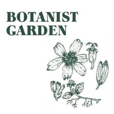 Green Botanist Garden Candle Blume Flowers.