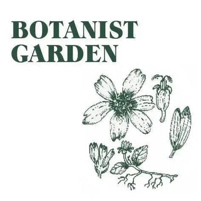 Green Botanist Garden Candle Blume Flowers.