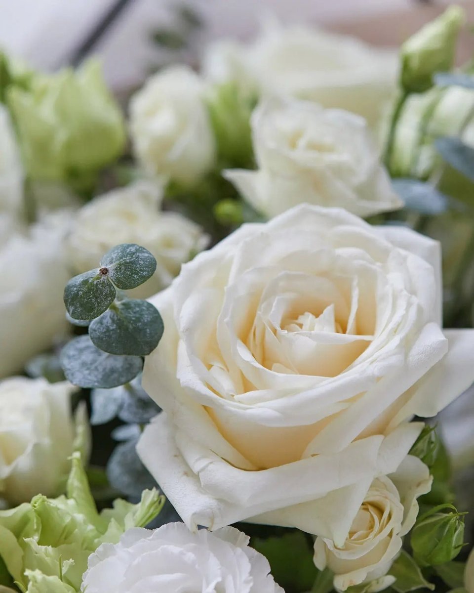 Beautifully Simple White Bouquet - Urban Design Flowers