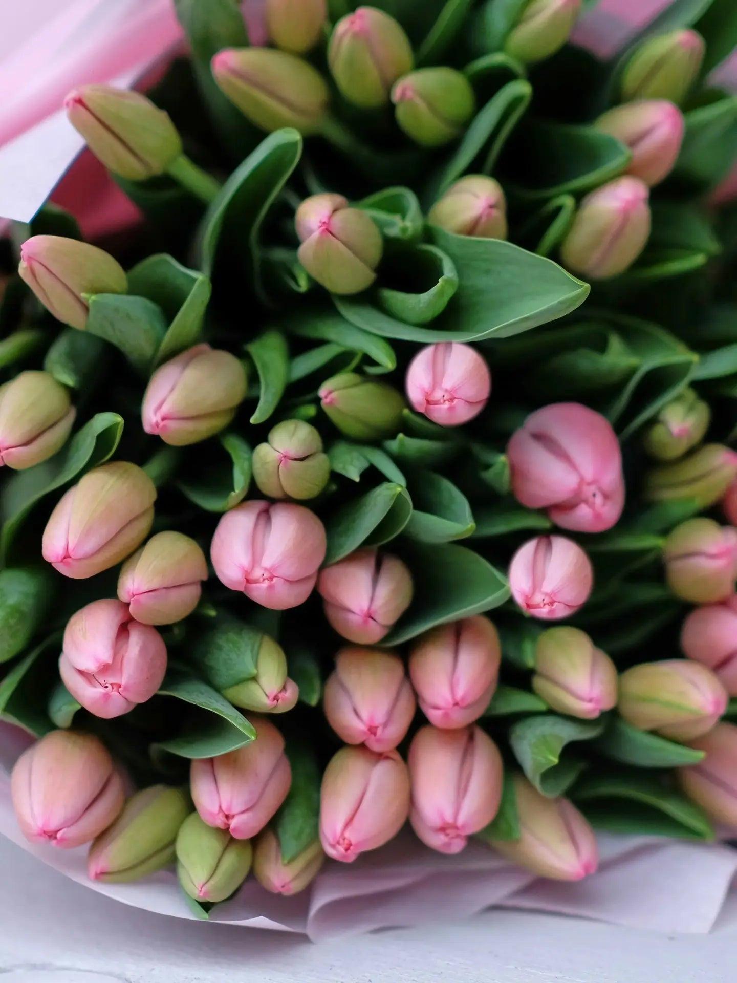 The Tulip Bouquet Blume Flowers.