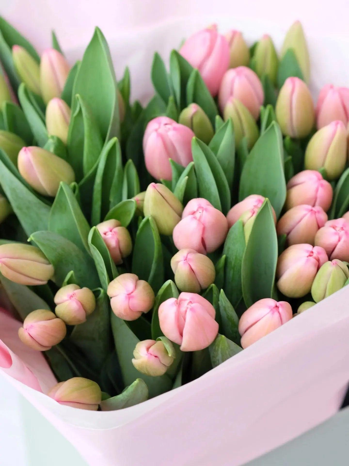 The Tulip Bouquet Blume Flowers.